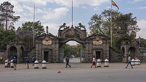 University College of Addis Ababa
